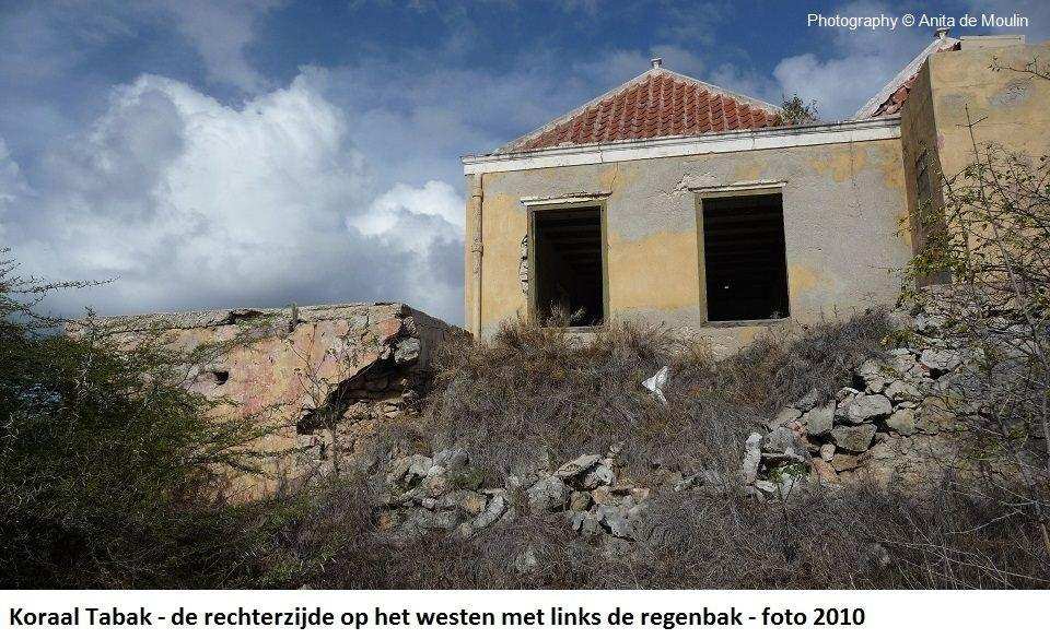 20. Koraal Tabak rechterzijde op het westen met regenbak 2010